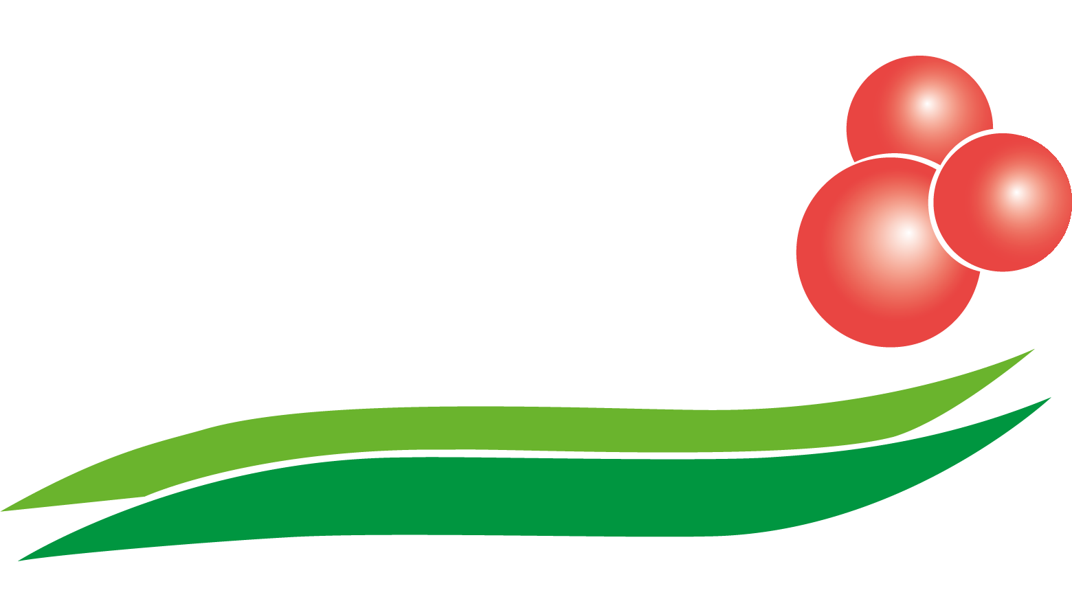 Nossa Tera Café